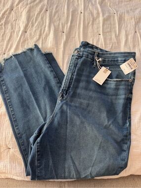 Good American jeans plus size